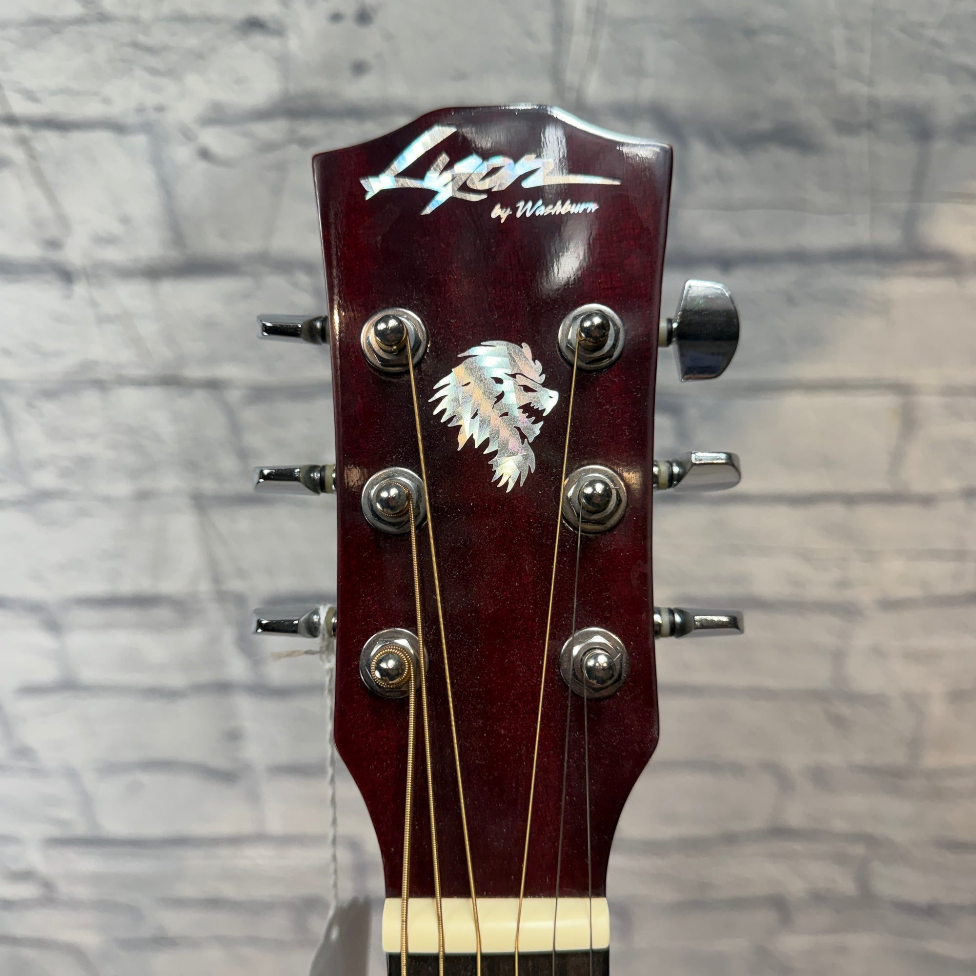 Lyon By Washburn LG1PAK Acoustic Guitar