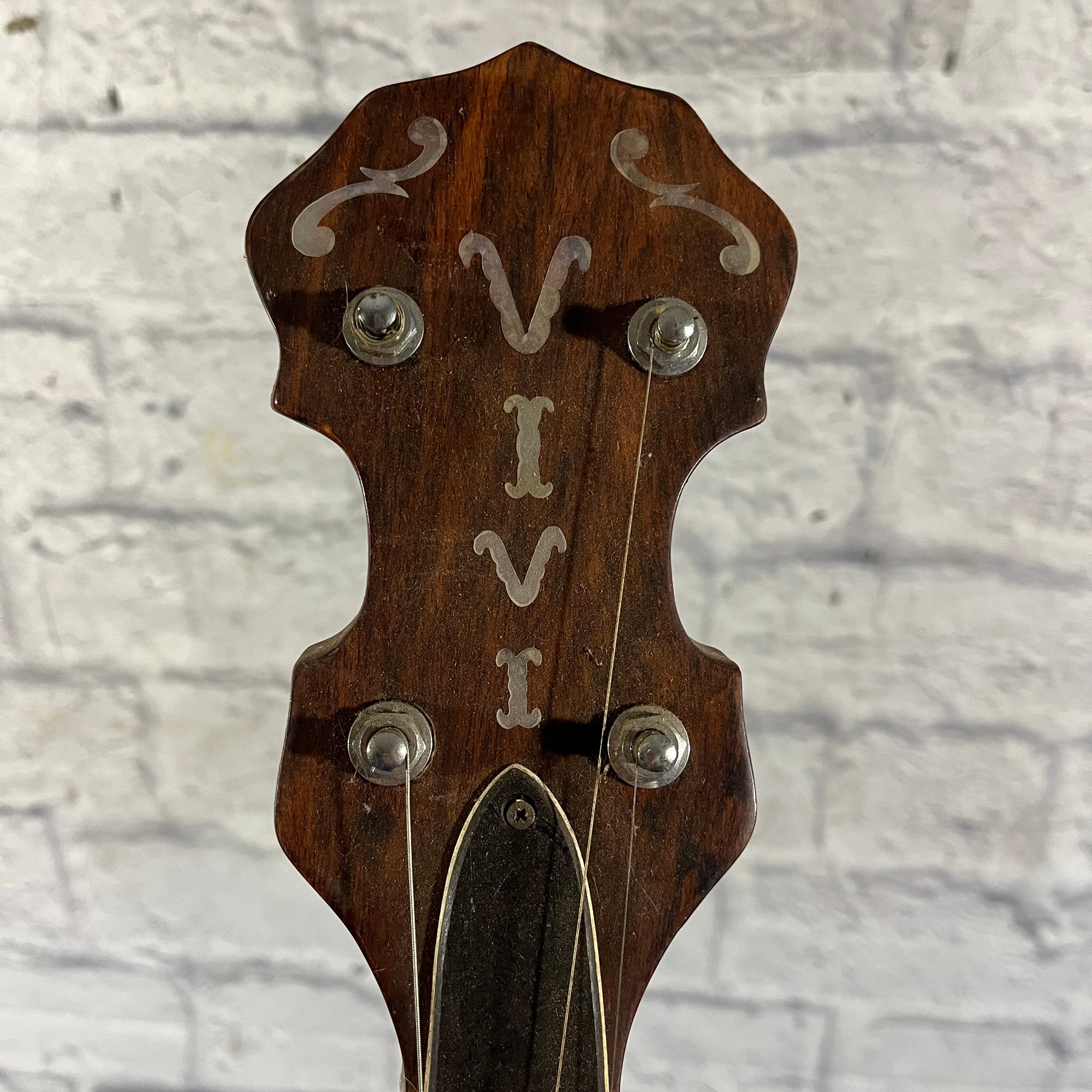 Vivi 5 String Banjo