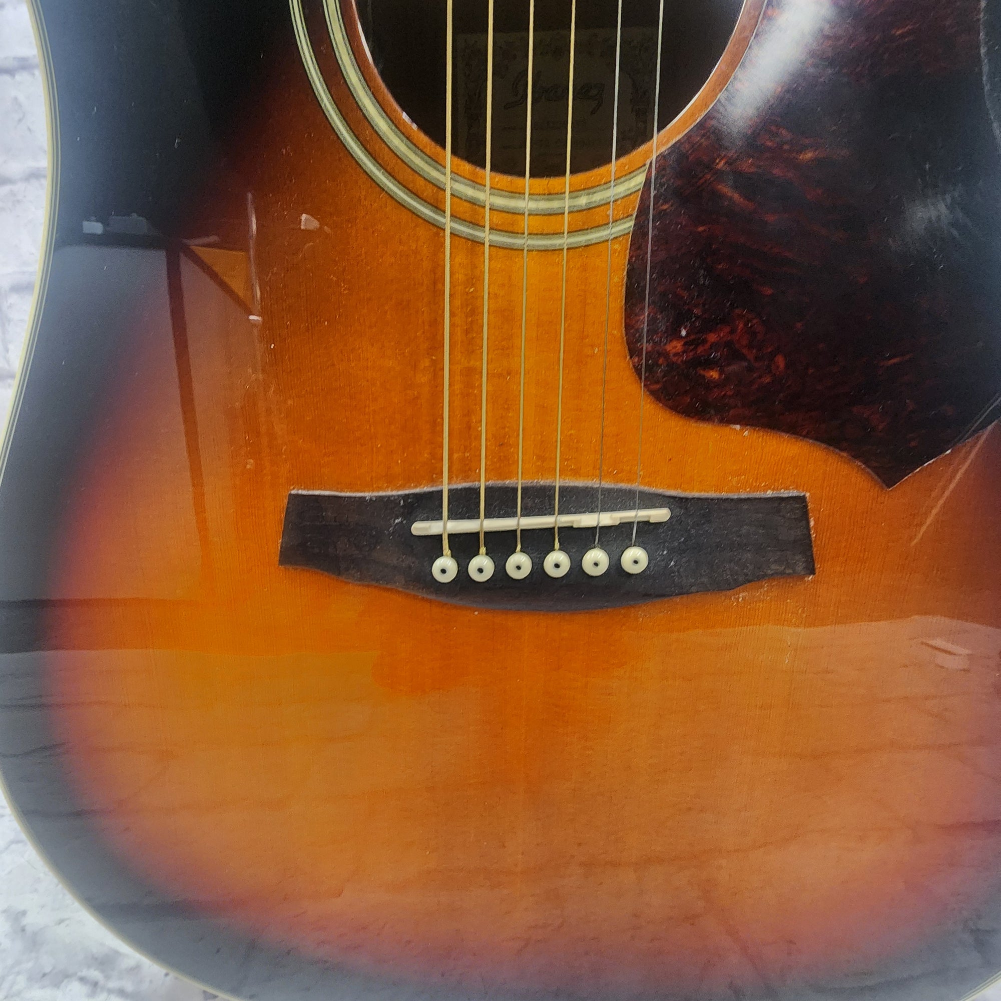 Ibanez SGE220-VS Acoustic Guitar