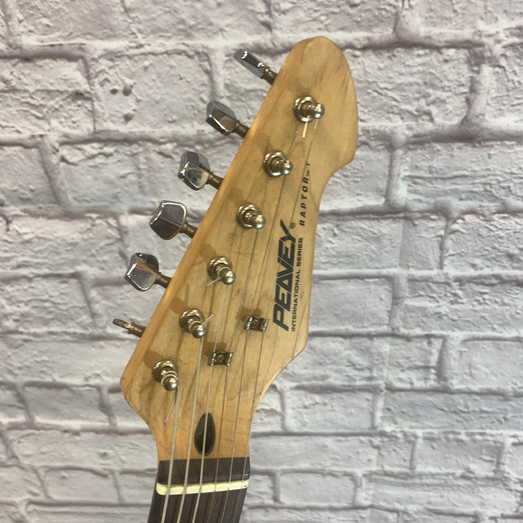 Peavey Raptor Black Electric Guitar