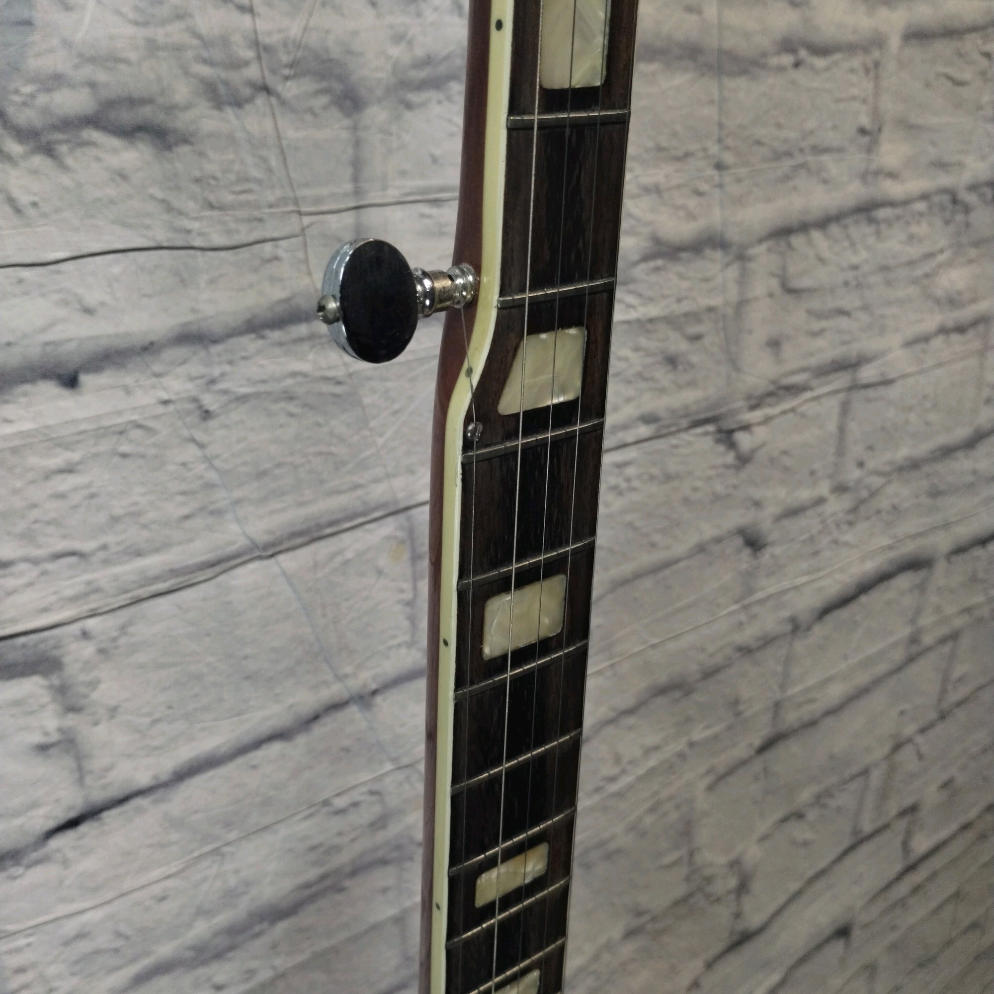 Harmony H409 Banjo