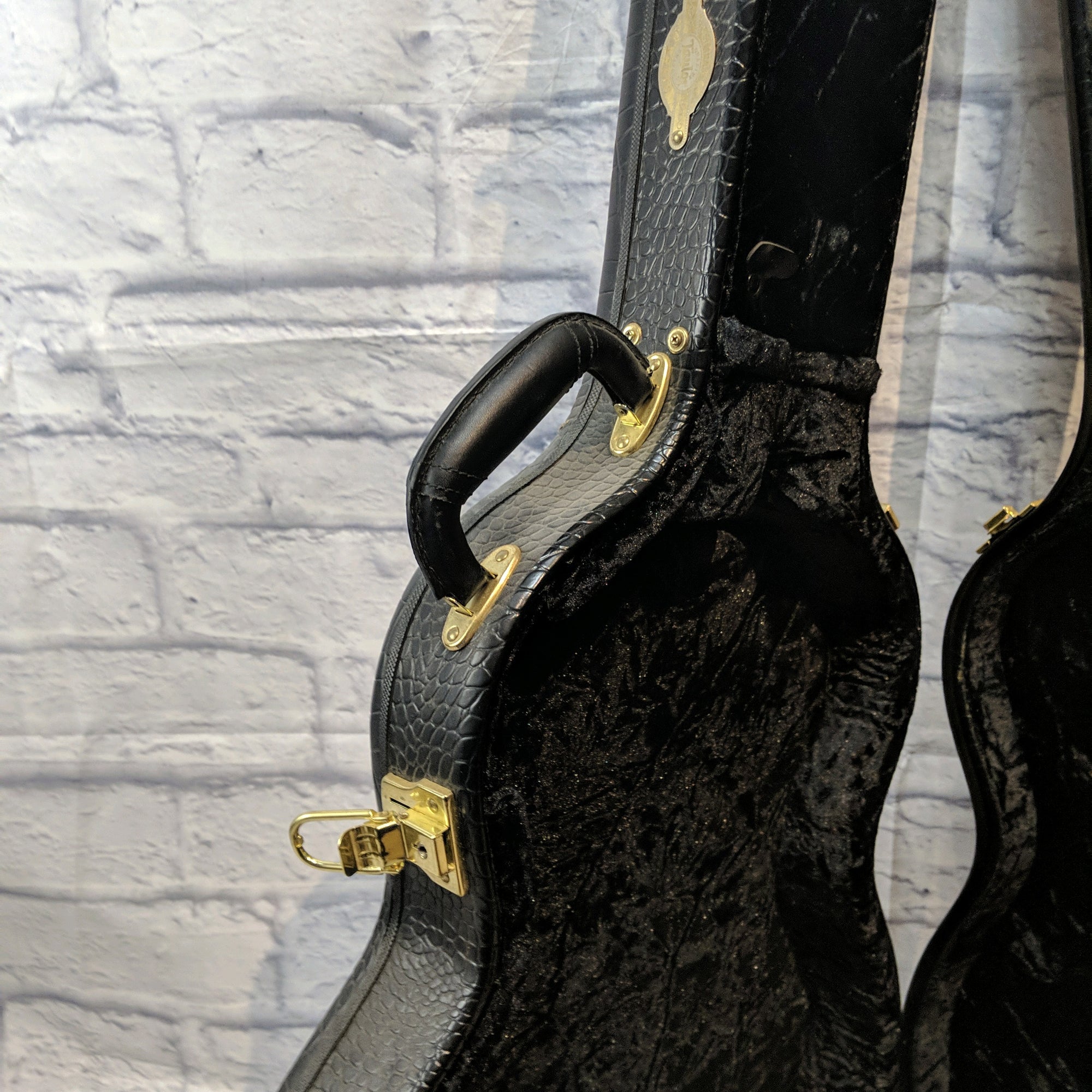 Taylor Archtop Hollowbody T3 / T5 Hard Guitar Case - Black Gator Skin
