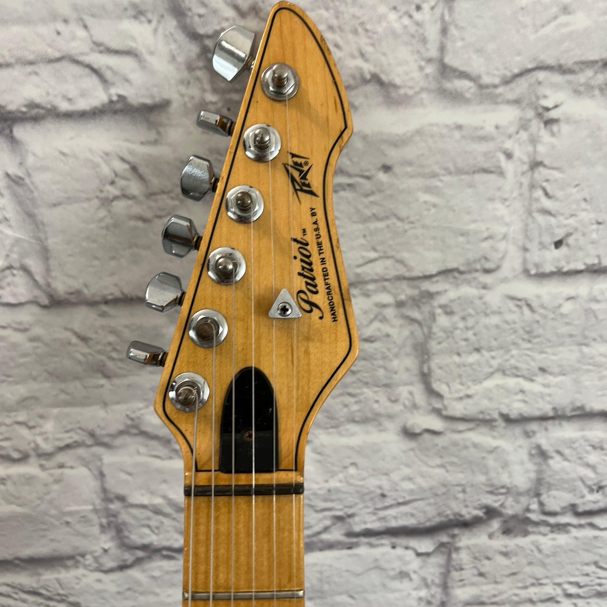 Peavey Patriot Electric Guitar - Evolution Music