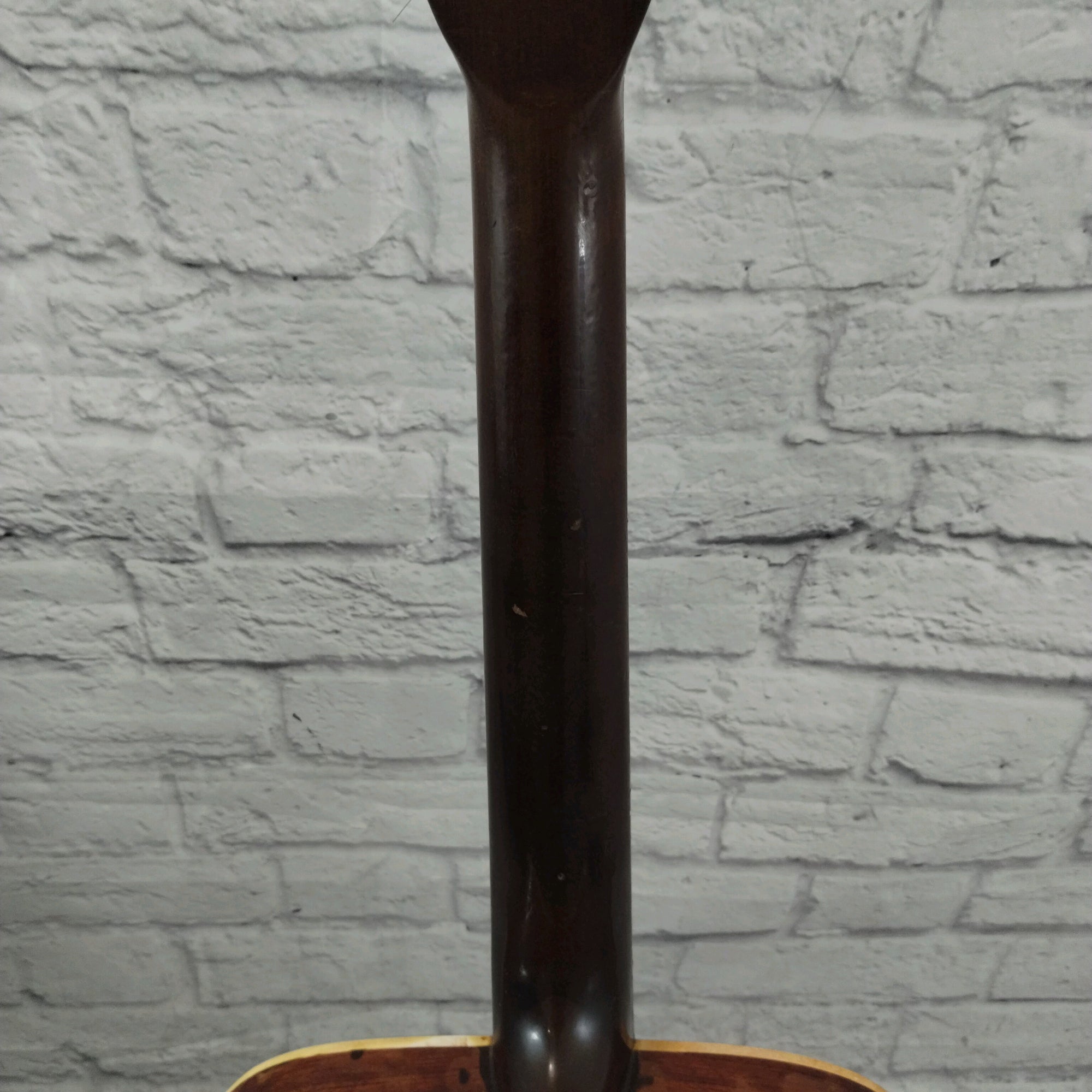 Sakura SW 63 (w/ Electric mod) Acoustic Guitar