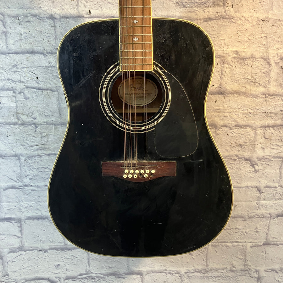 Fender DG-16E-12 String Acoustic Guitar