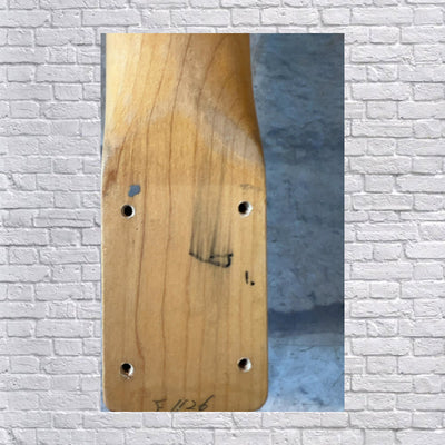 Unknown Rosewood Fretted Guitar Neck