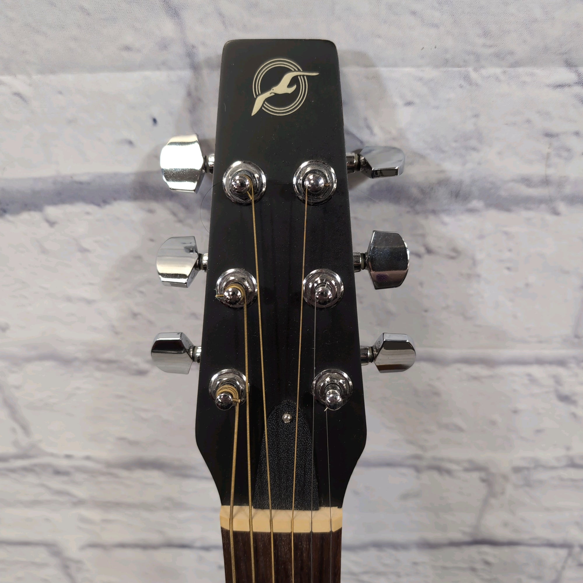 Seagull Plus Spruce Acoustic Guitar