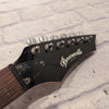 Brownsville 24 Fret Electric Guitar Neck