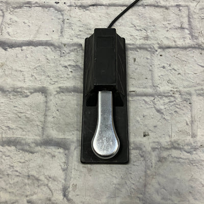 Unknown Keyboard Sustain Pedal Sustain Pedals