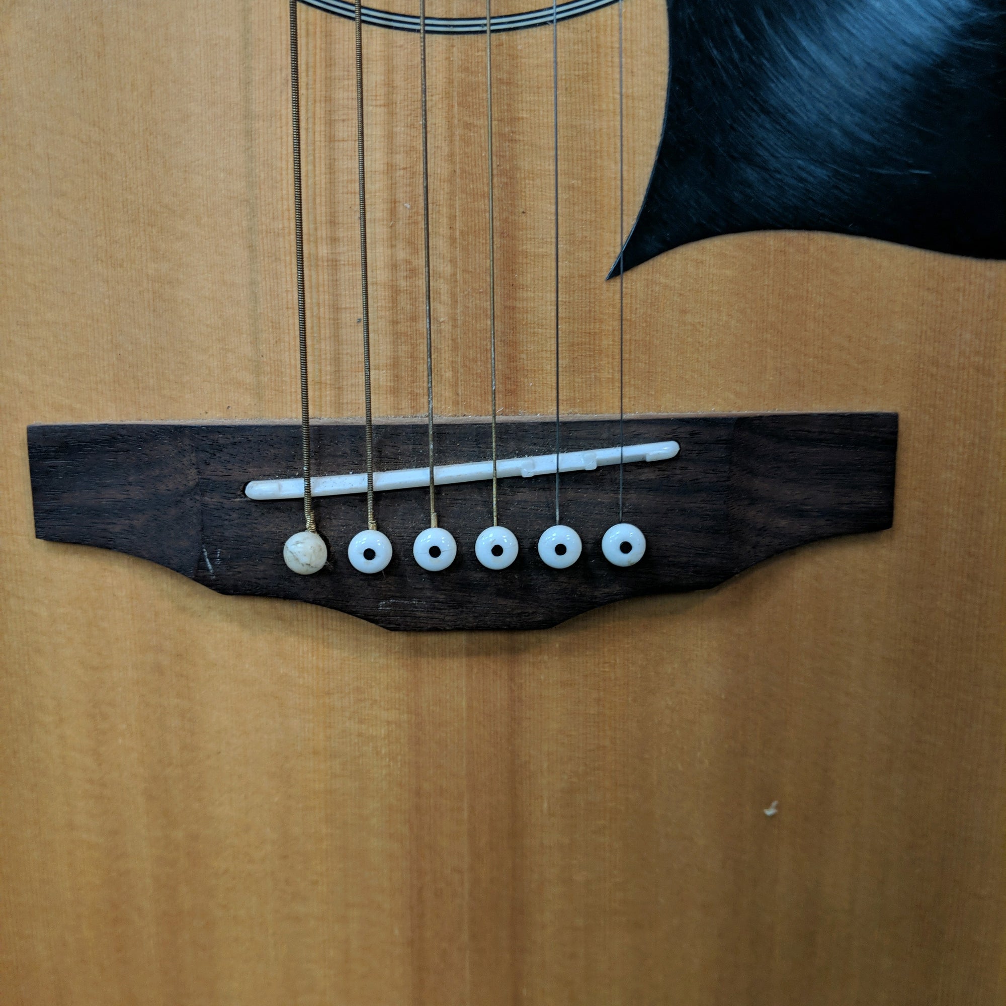 Lyon LG2 Acoustic Guitar AS-IS