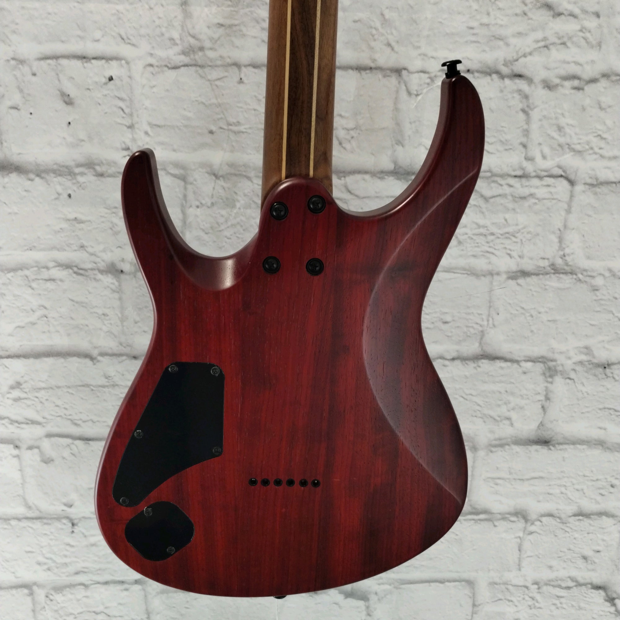 Eart Explorer 1 Electric Guitar