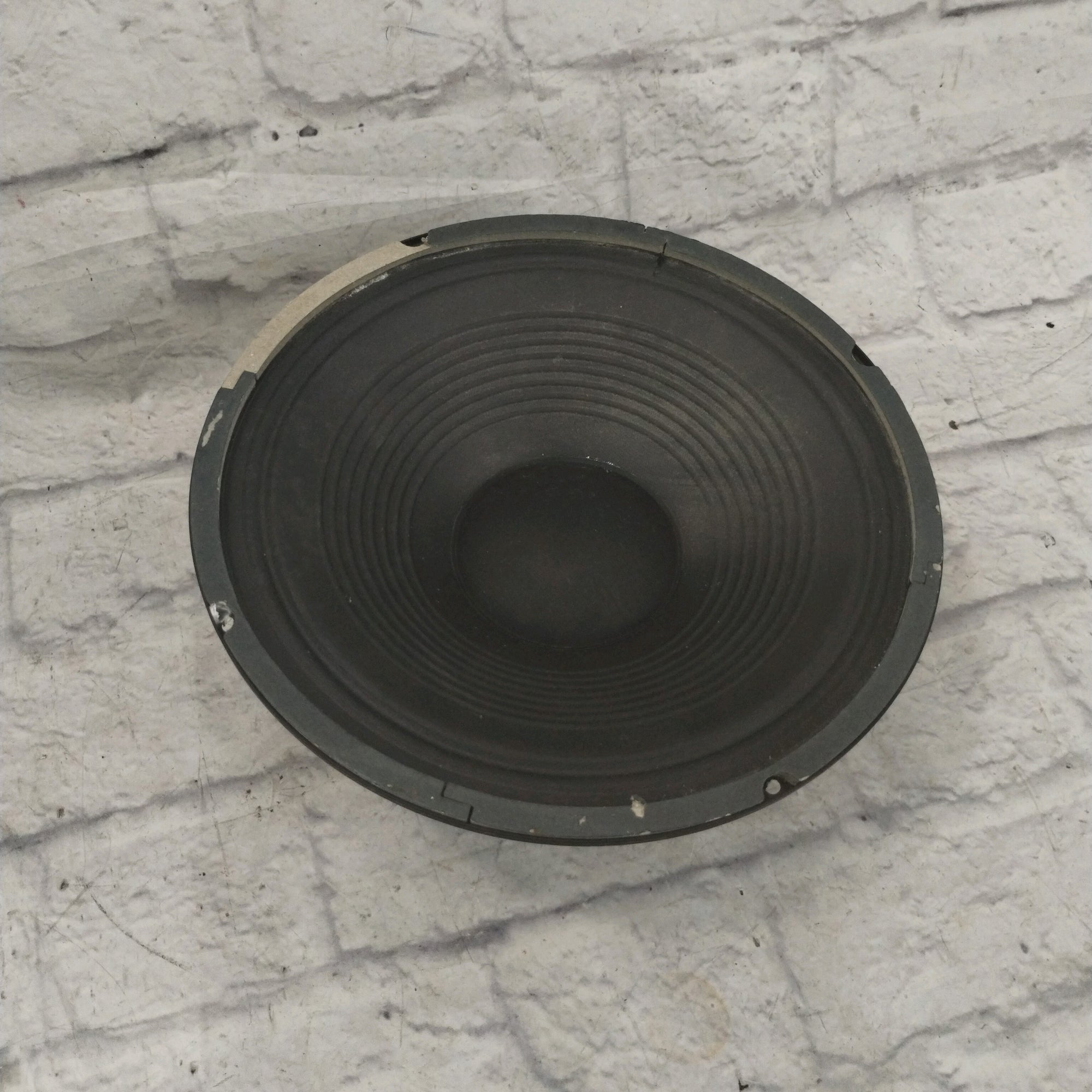 Fender Musical Instrument Loudspeaker (12'')