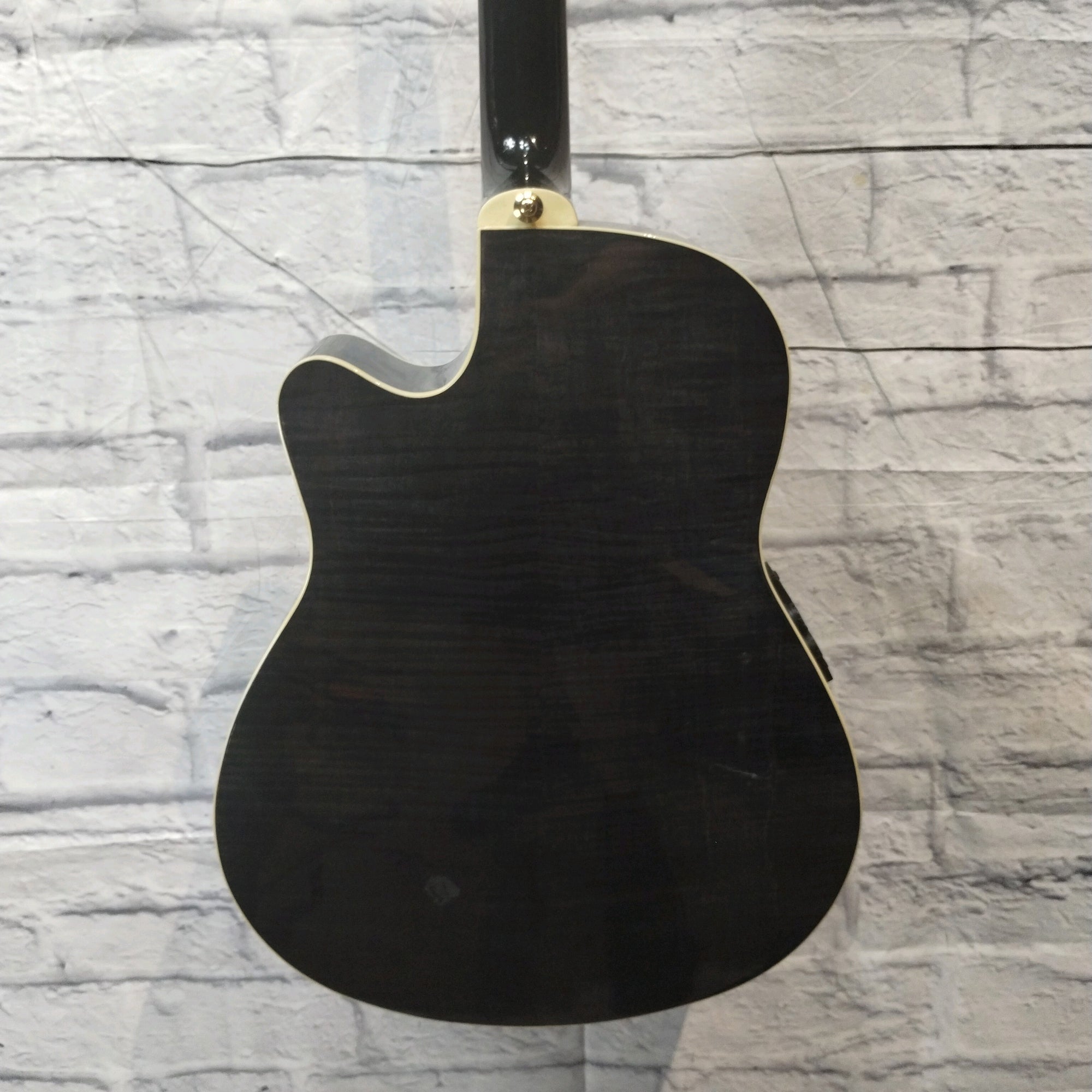 Ibanez AEF30E Acoustic Guitar - Transparent Black Flame Finish Acoustic Guitar