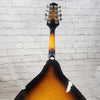 Rogue RM-100A Mandolin