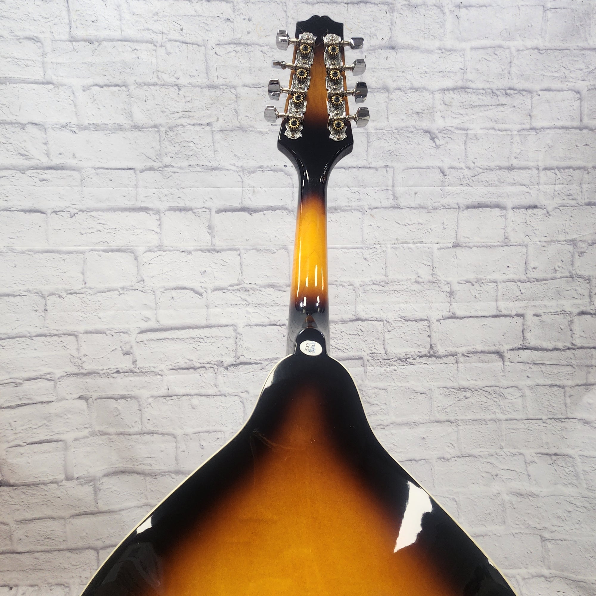 Rogue RM-100A Mandolin