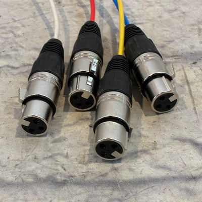 Unknown 10' 4-Channel XLR Snake Cable
