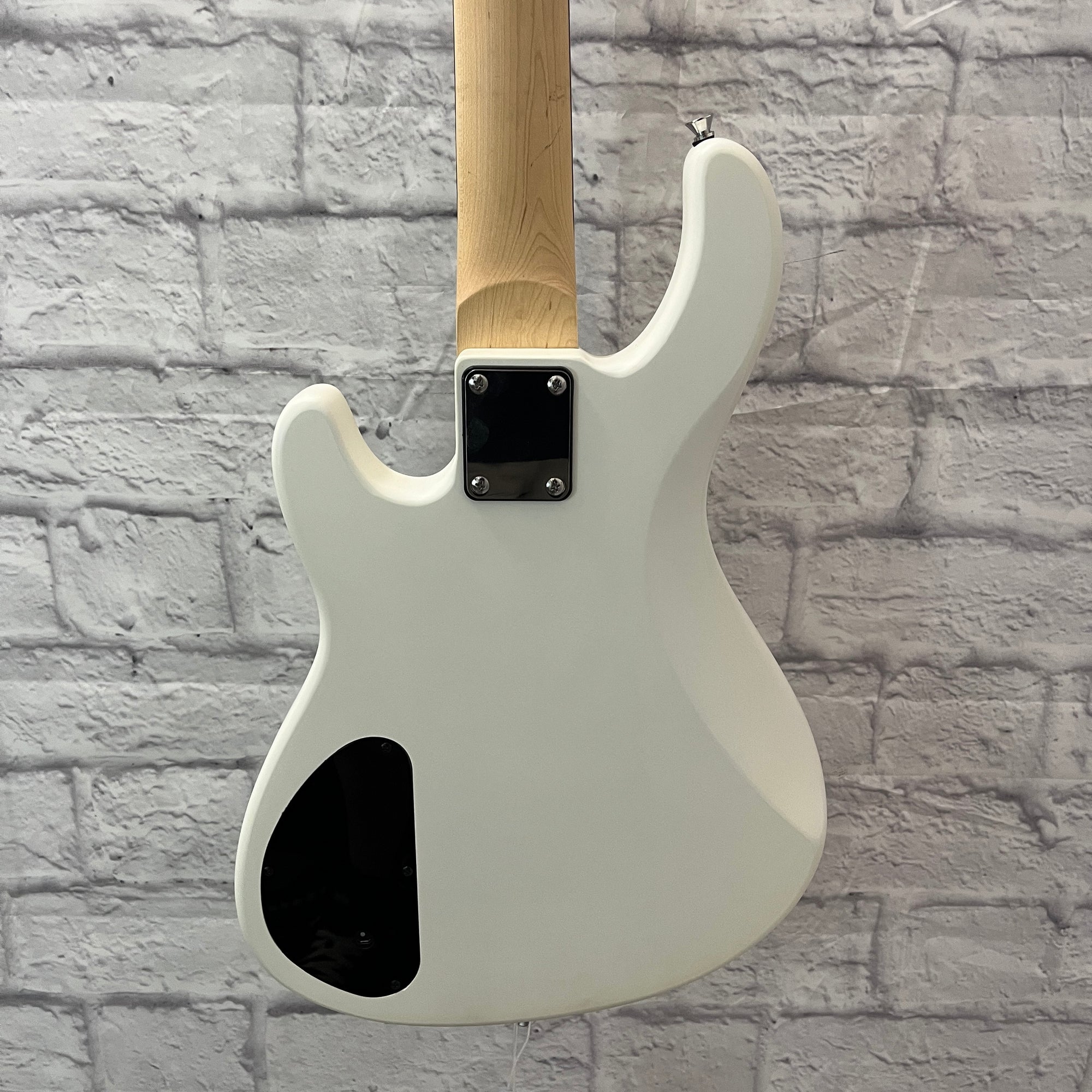 Sawtooth Mod24 Bass Guitar w/ Fishman Pickups