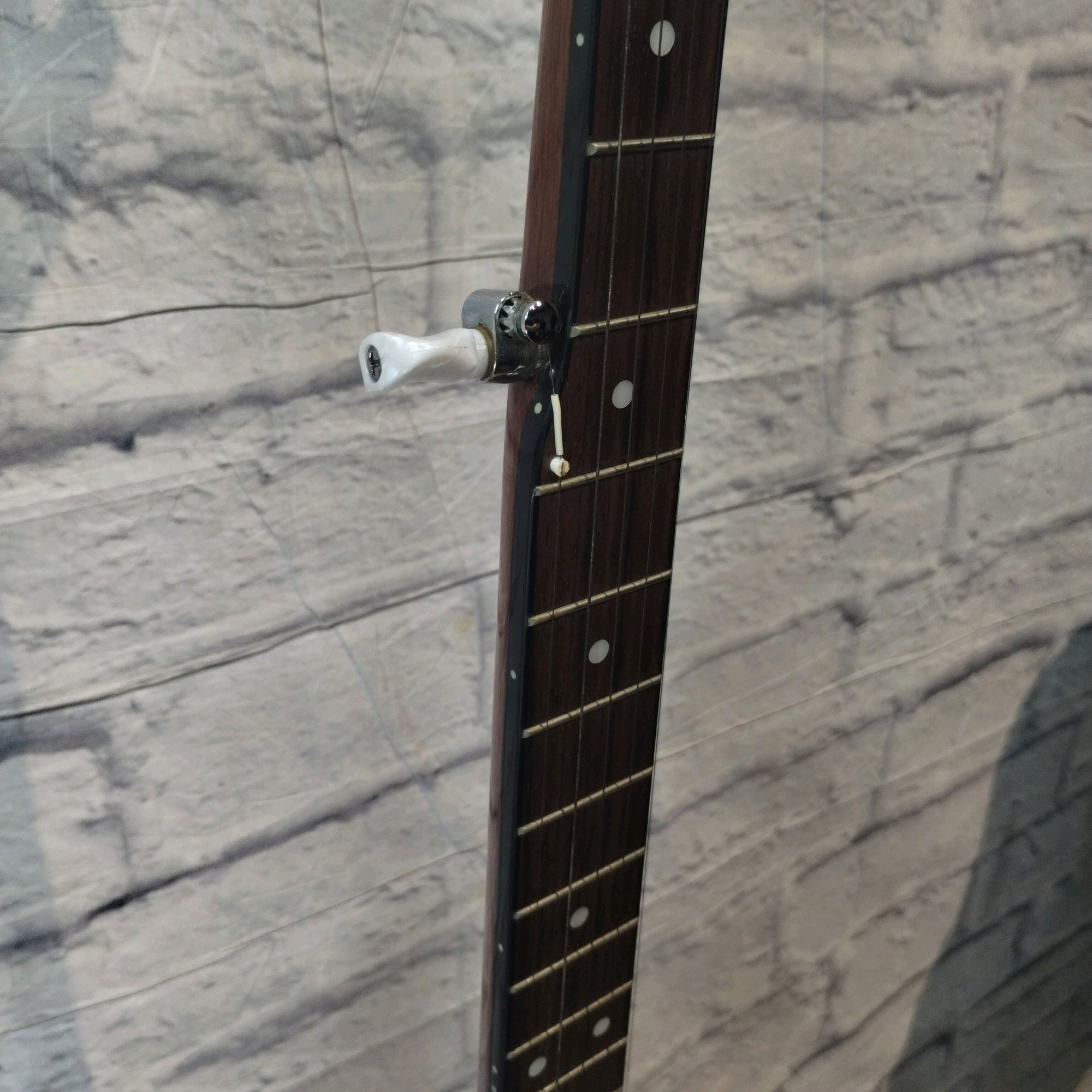 Johnson JB-100 5-String Banjo w/ Hard Case