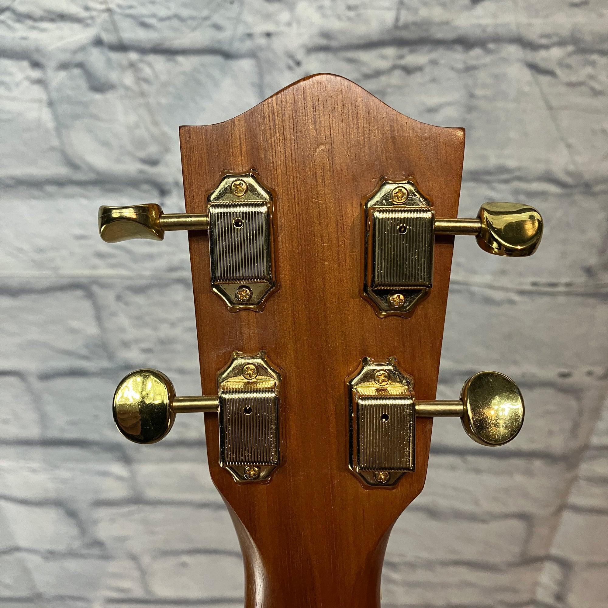 Lanikai LM-TCA Tenor Ukulele w/ bag