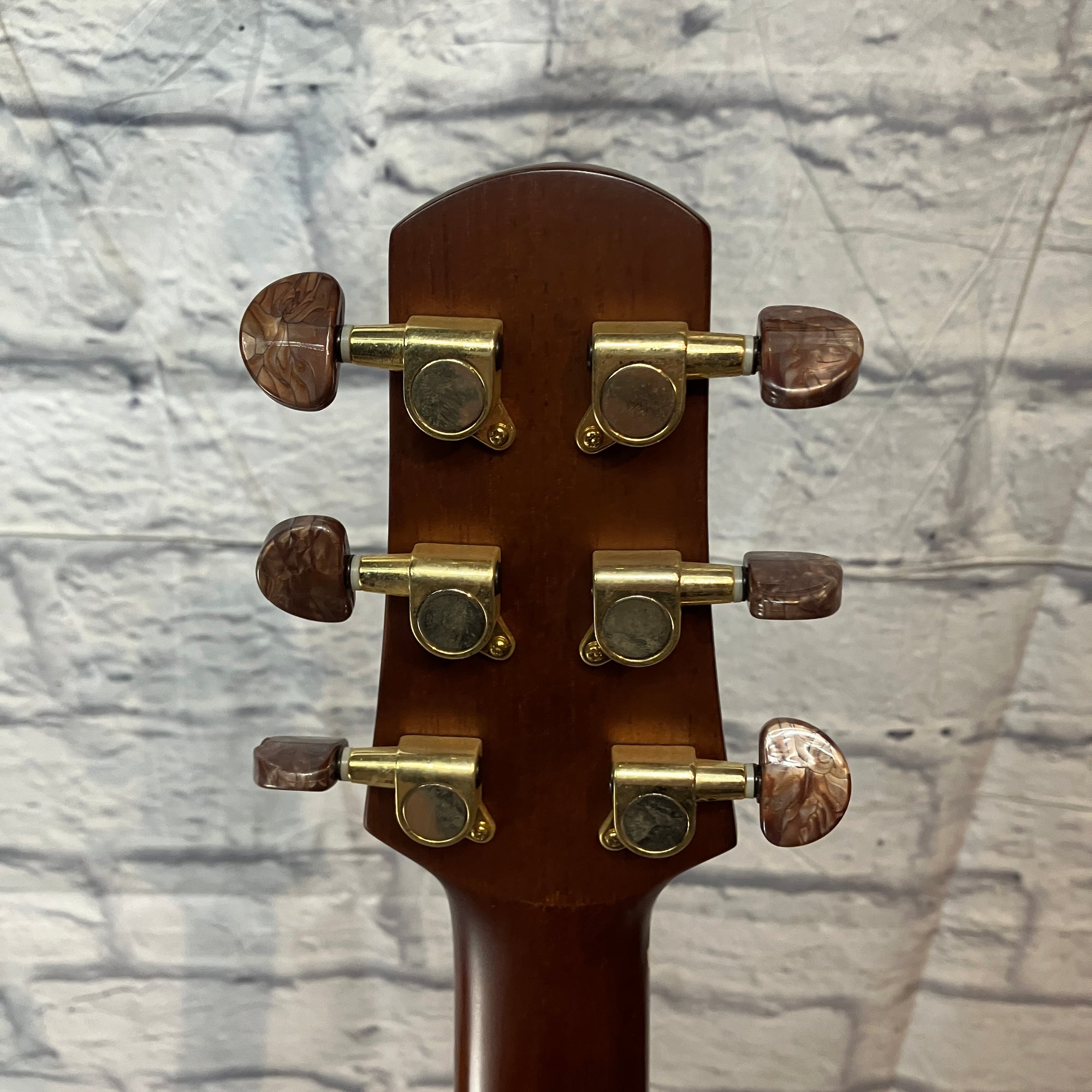 Walden Supranatura D2040 Acoustic Guitar w/ case