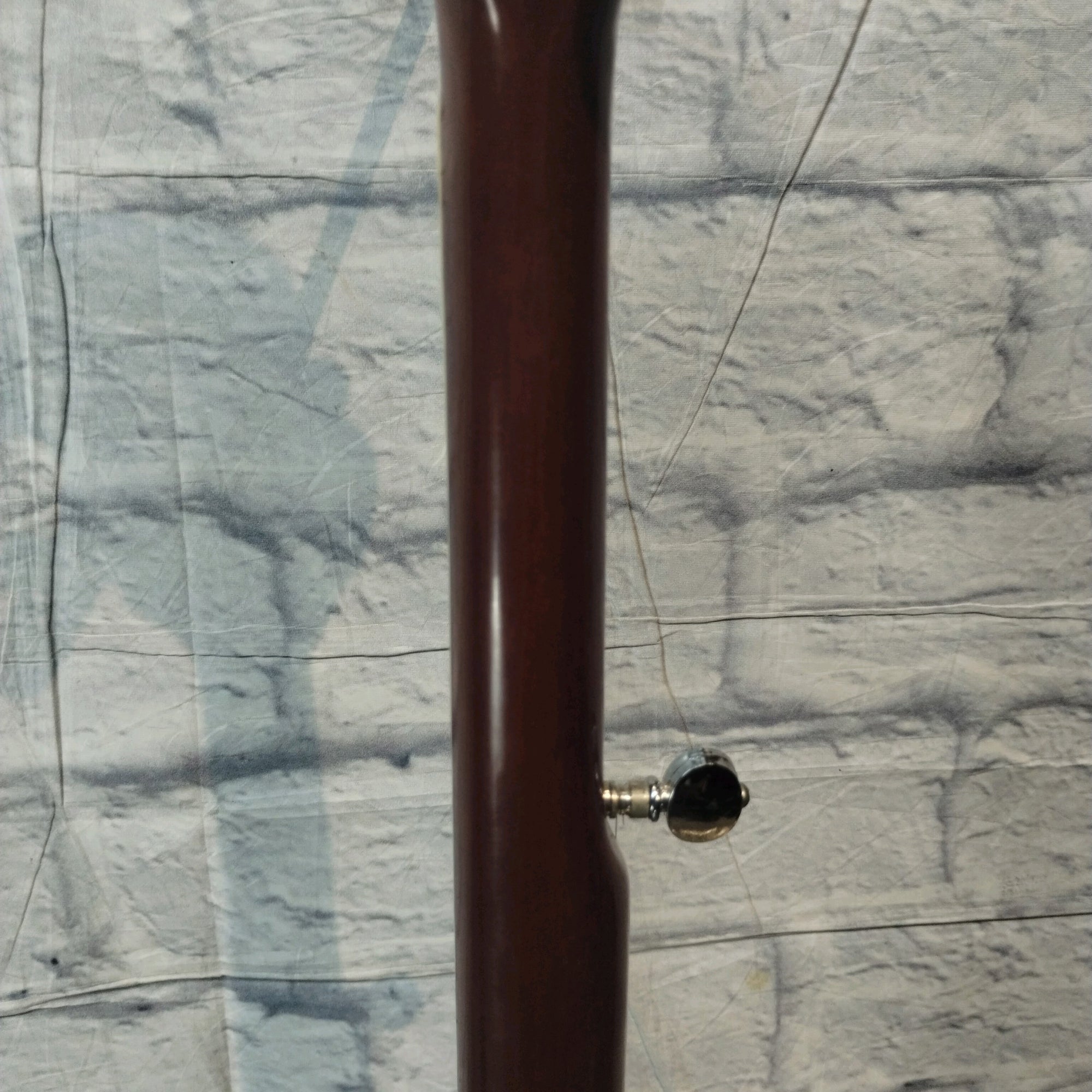 Harmony H409 Banjo