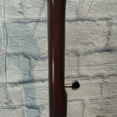 Harmony H409 Banjo
