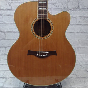 Allen EWJ-40SCE Acoustic Electric Guitar