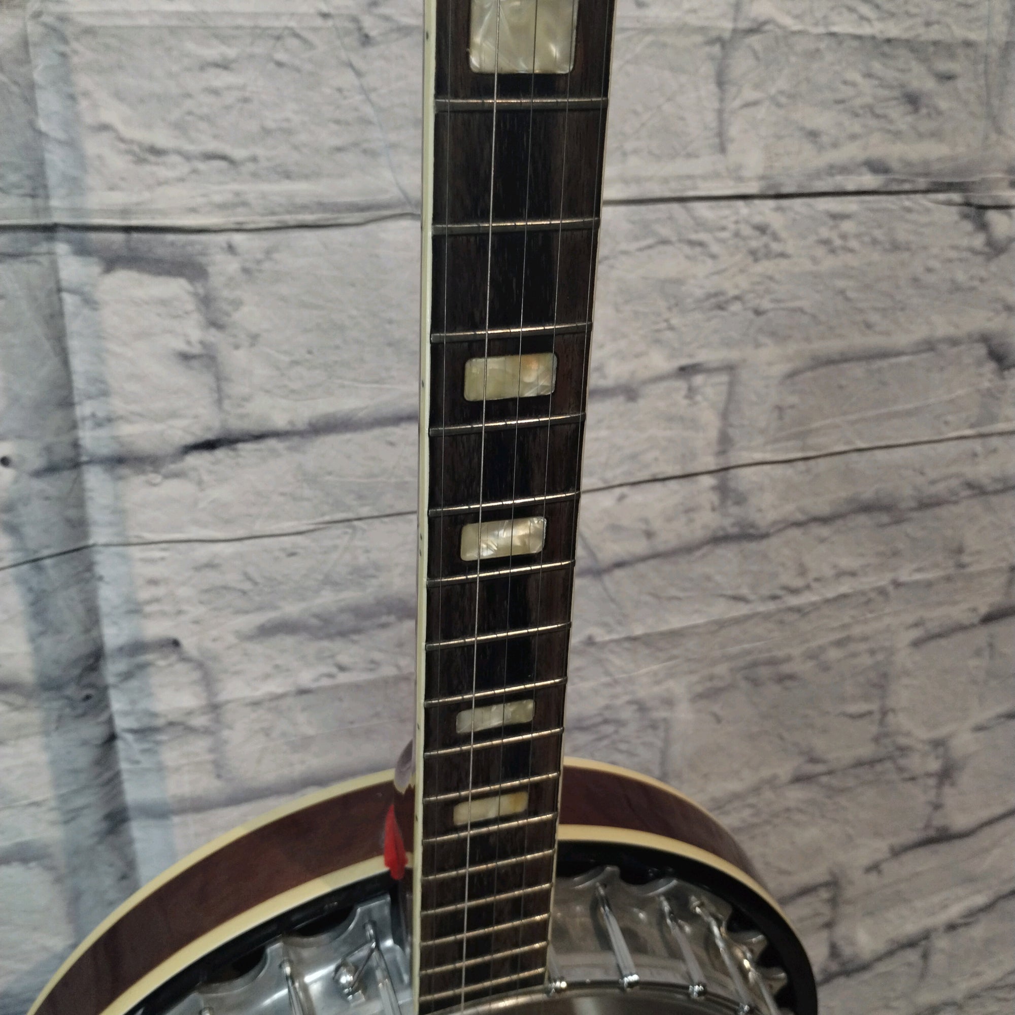 Harmony H409 Banjo