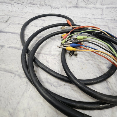 Hosa 10 Foot RCA - TS Cable Snake