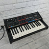Vintage Moog Realistic Concertmate MG-1