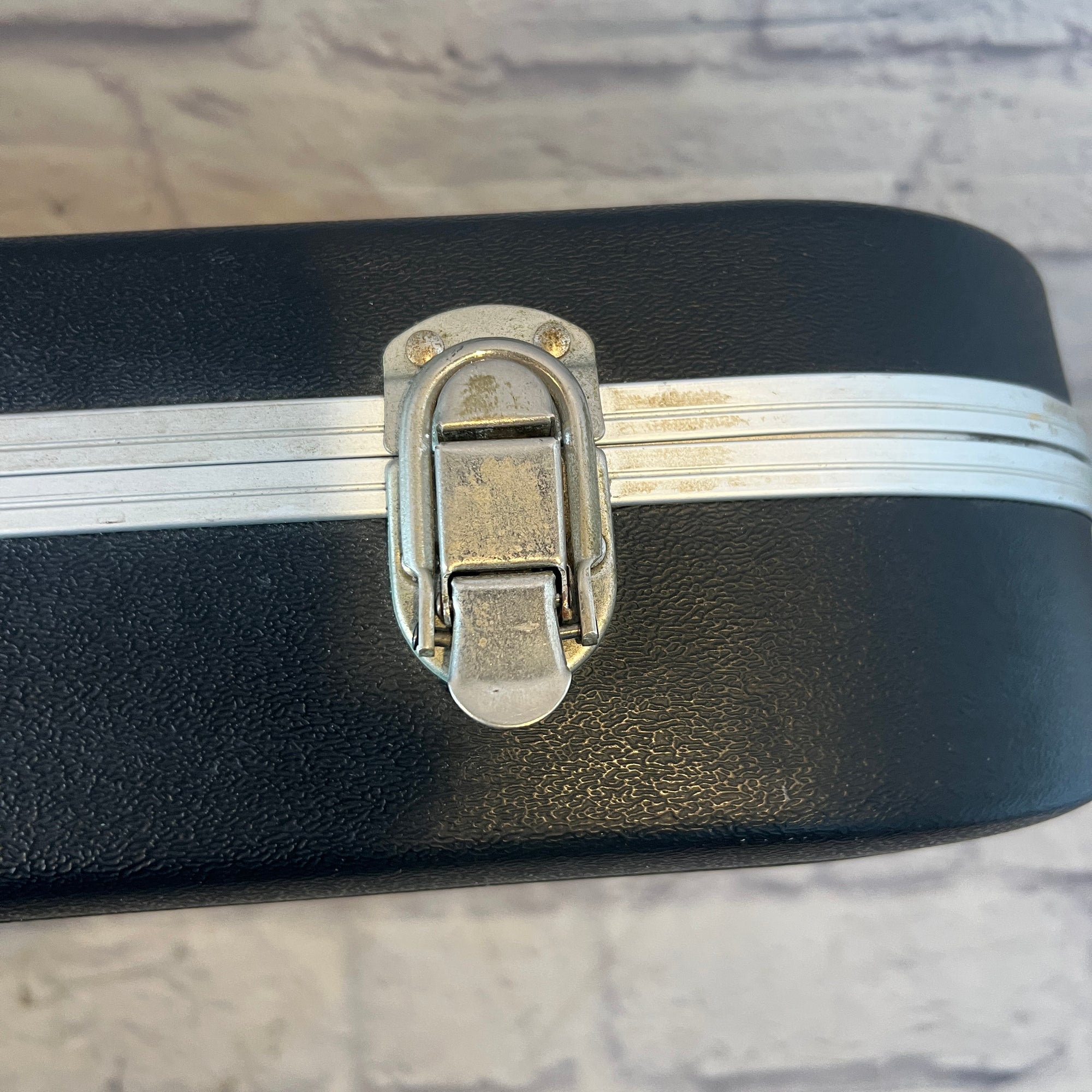 Lakland Bass  Molded Hard Case