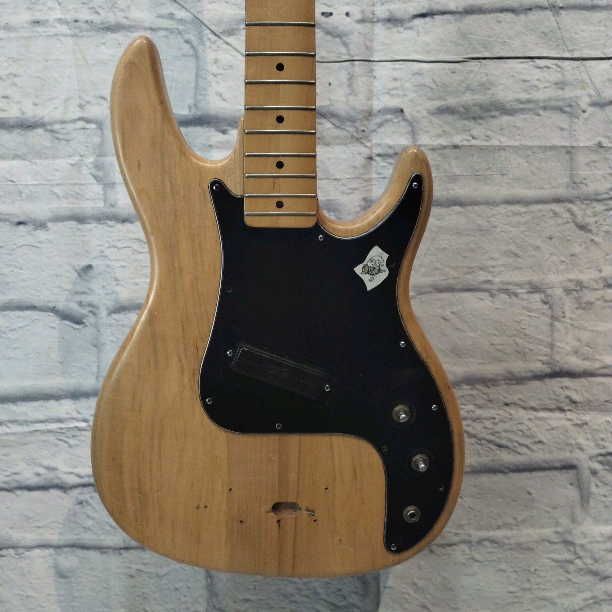 Peavey Fury Bass Husk