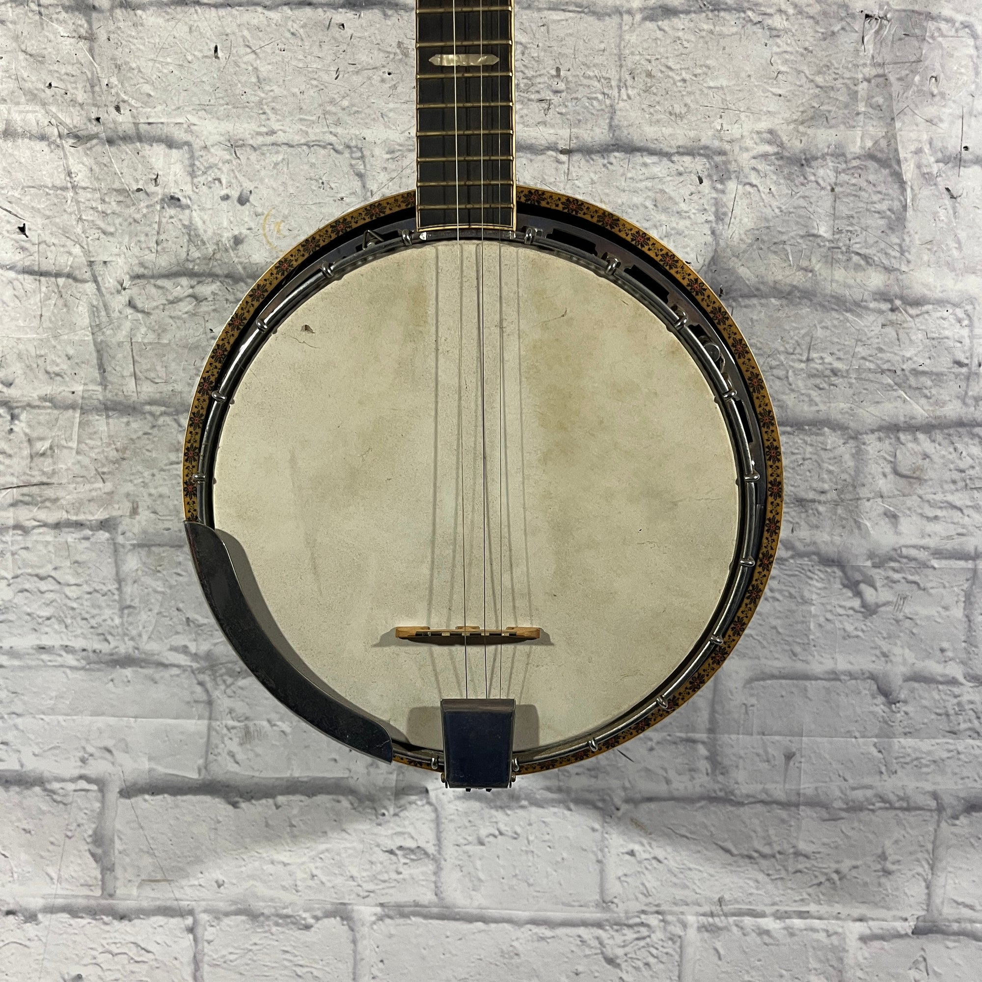 Vivi 5 String Banjo