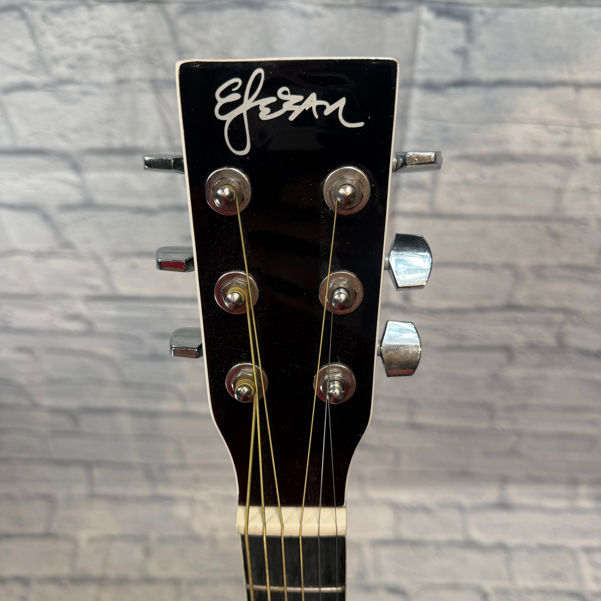 Esteban AS IS Acoustic Guitar AL-100 Acoustic Guitar
