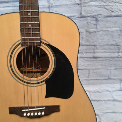 Washburn Lyon Acoustic Guitar