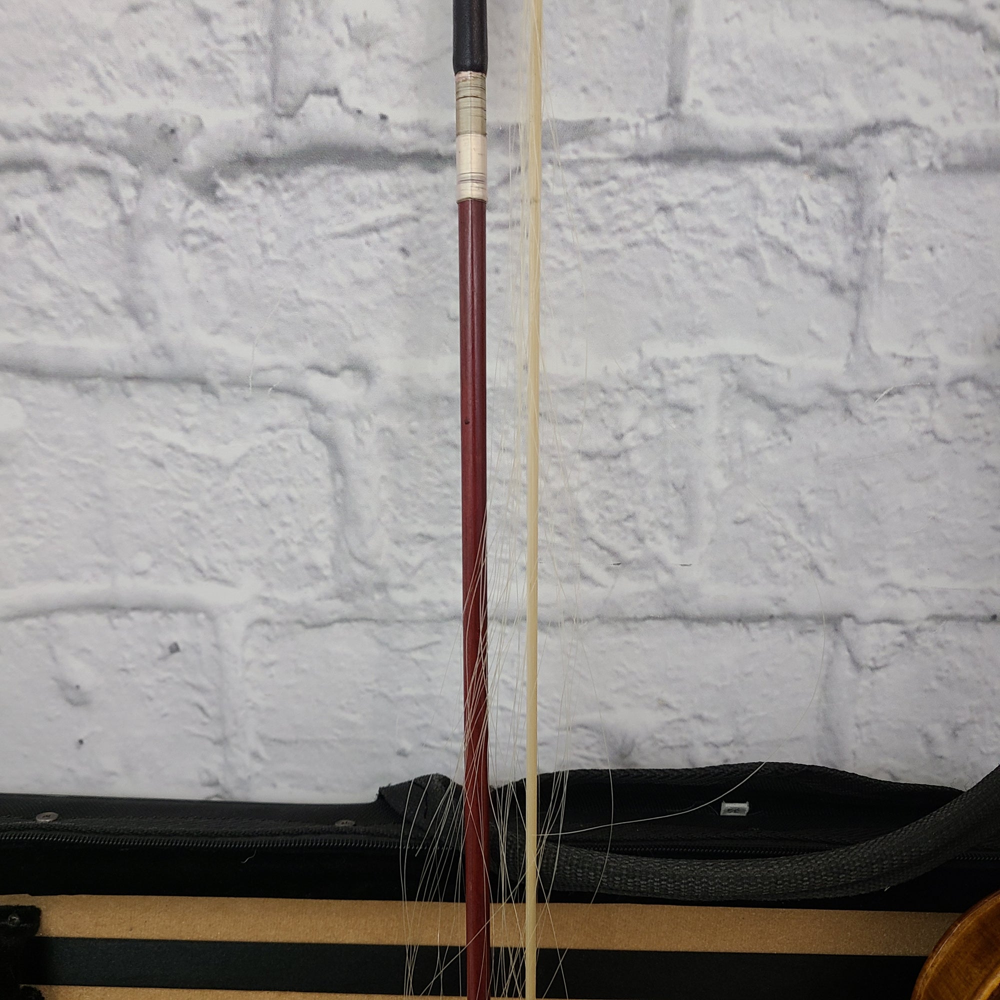 H. Luger CA300 Viola 13" C21846