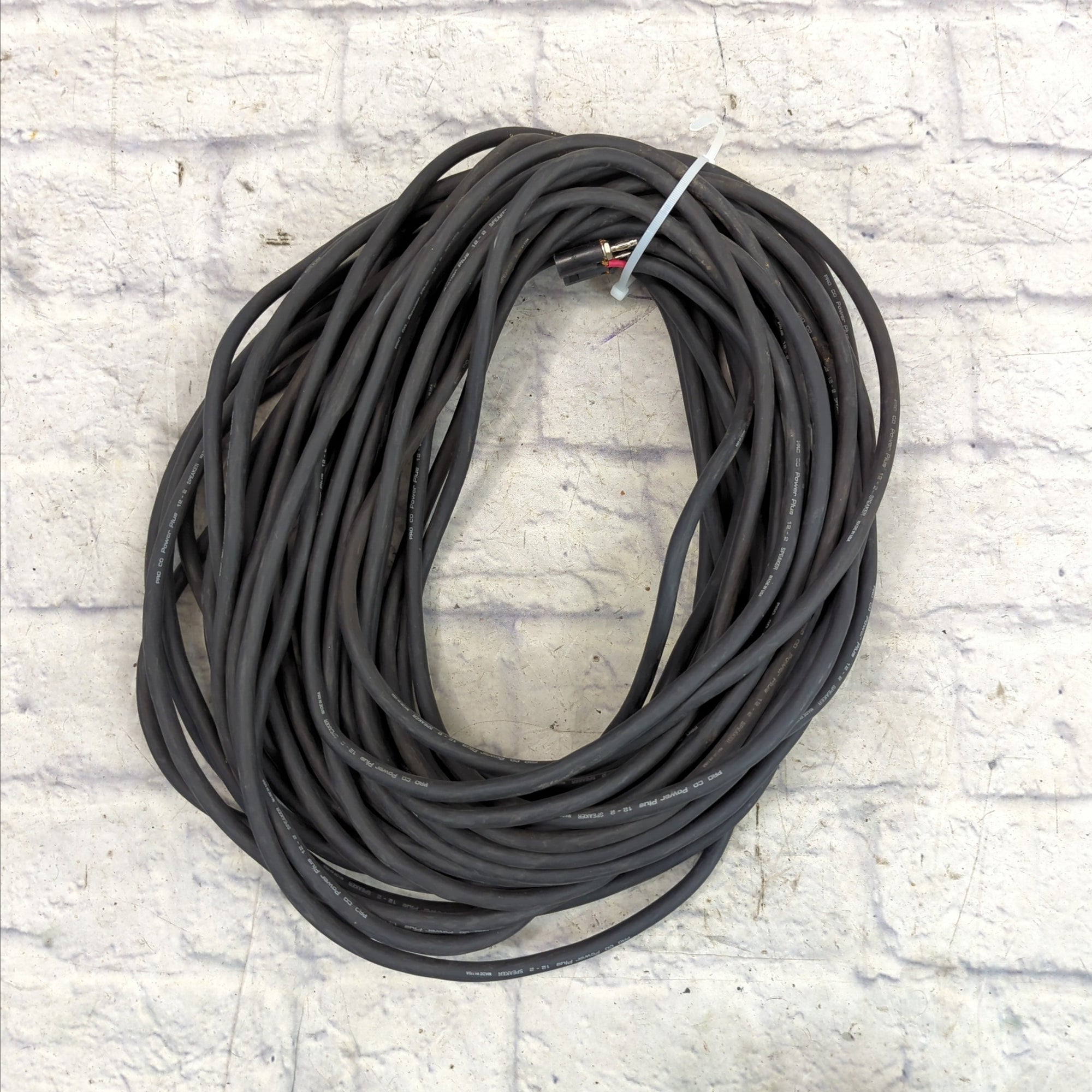 ProCo Power Plus 12-2 100' 100 Foot 1/4 to Banana Plug Speaker Cable