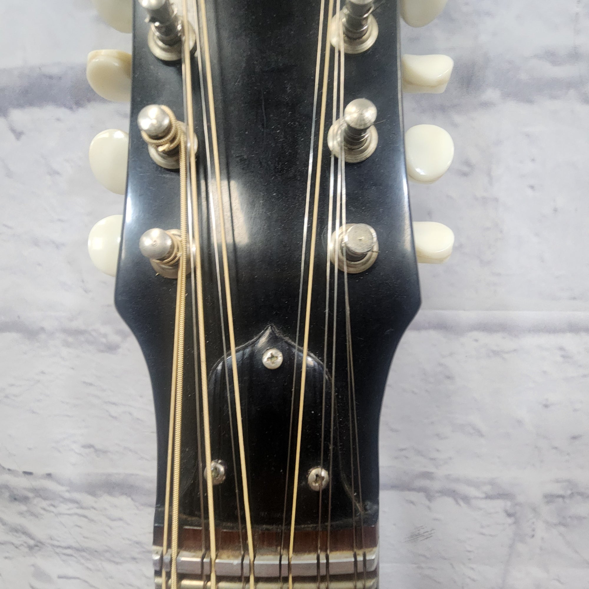 EKO Vintage Ekoette V/XII El 12 String Thinline Acoustic Guitar