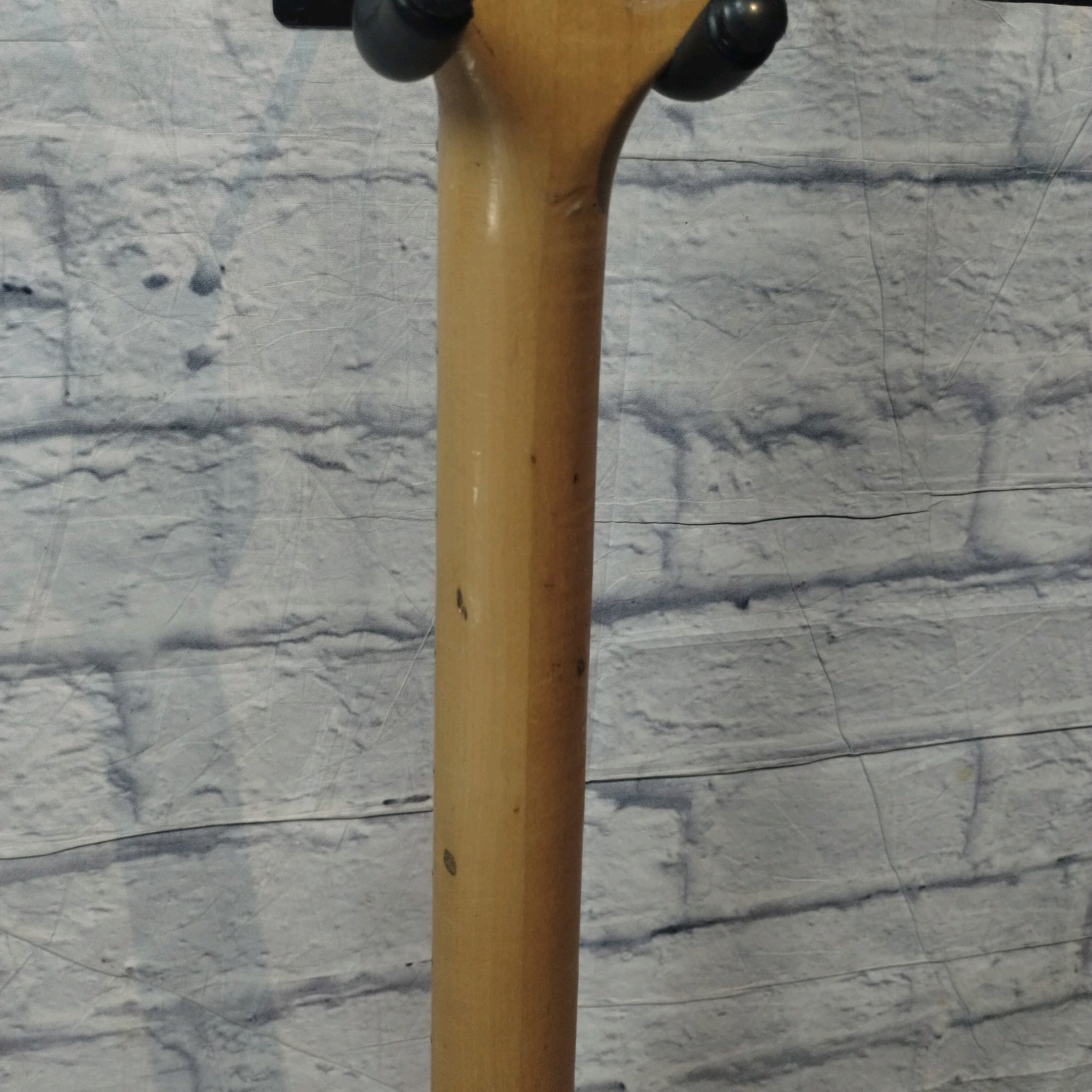 Peavey Fury Bass Husk