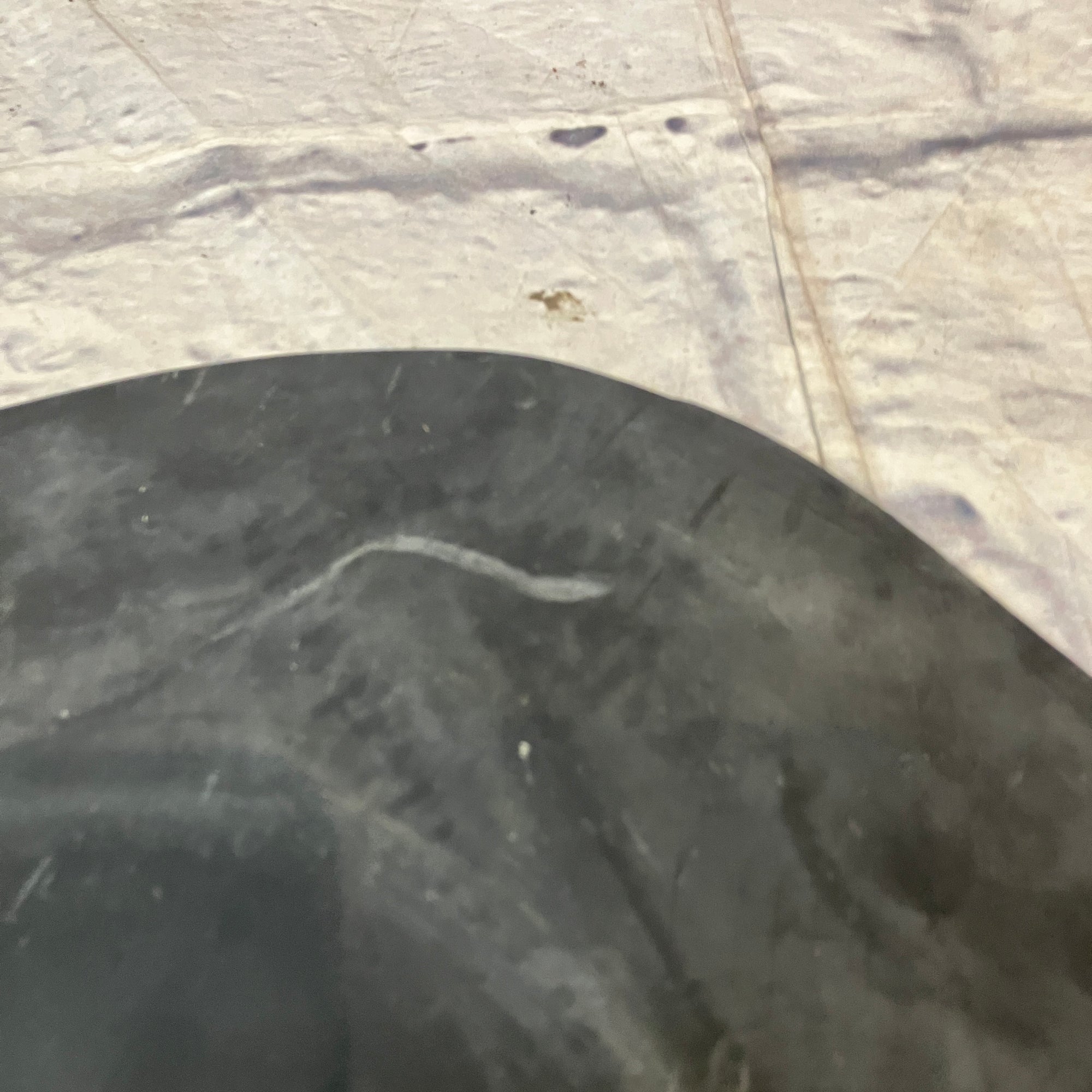 Unknown Snare Practice Pad