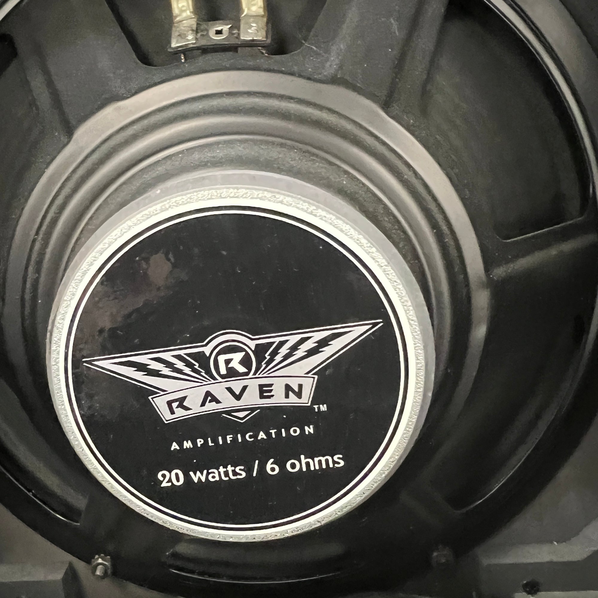 Raven RG20 Guitar Combo Amp