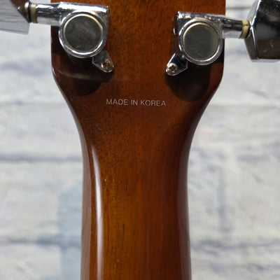 Fender Dreadnaught DG20s Nat Acoustic Guitar