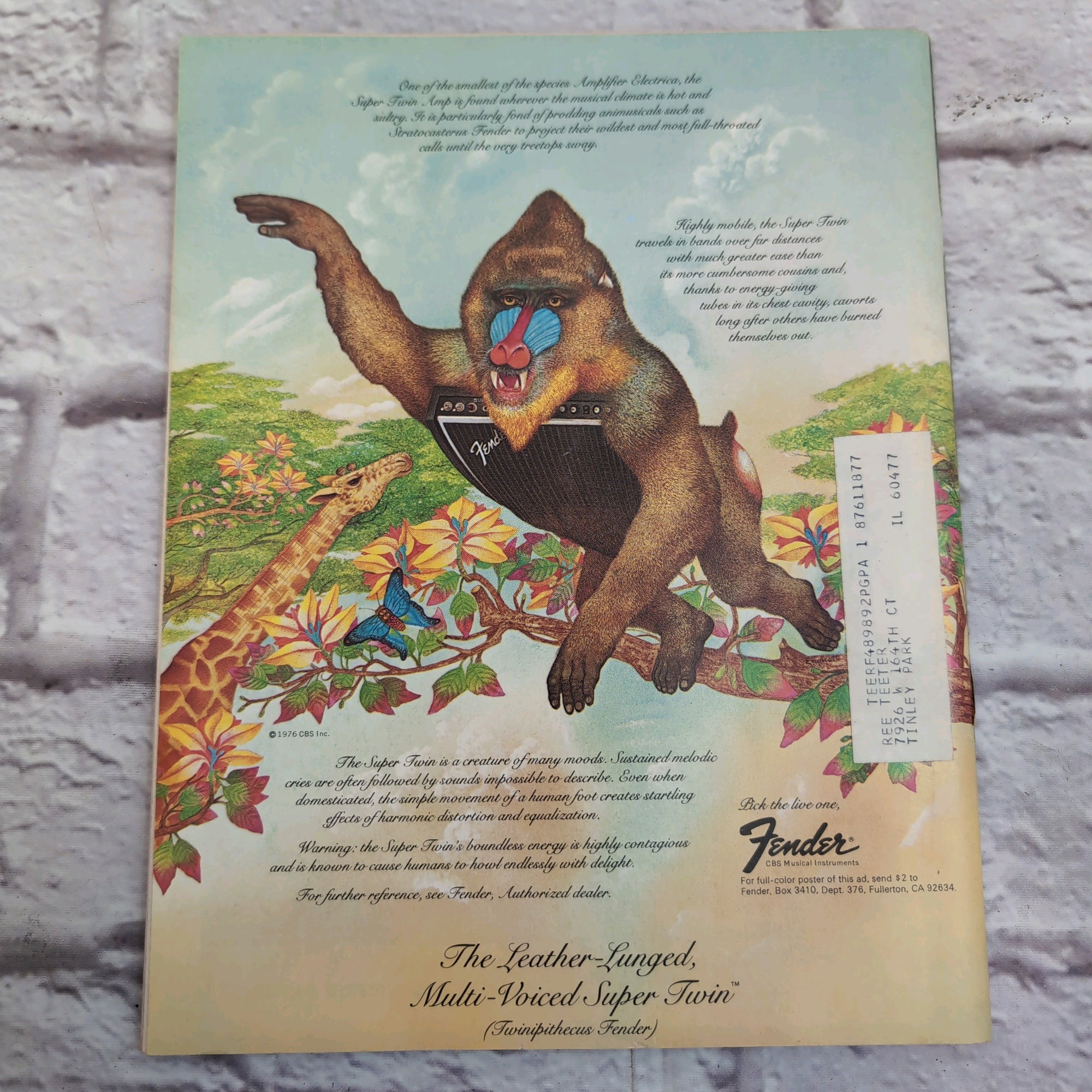 Guitar Player February 1977 Jim Messina Vintage Guitar Magazine