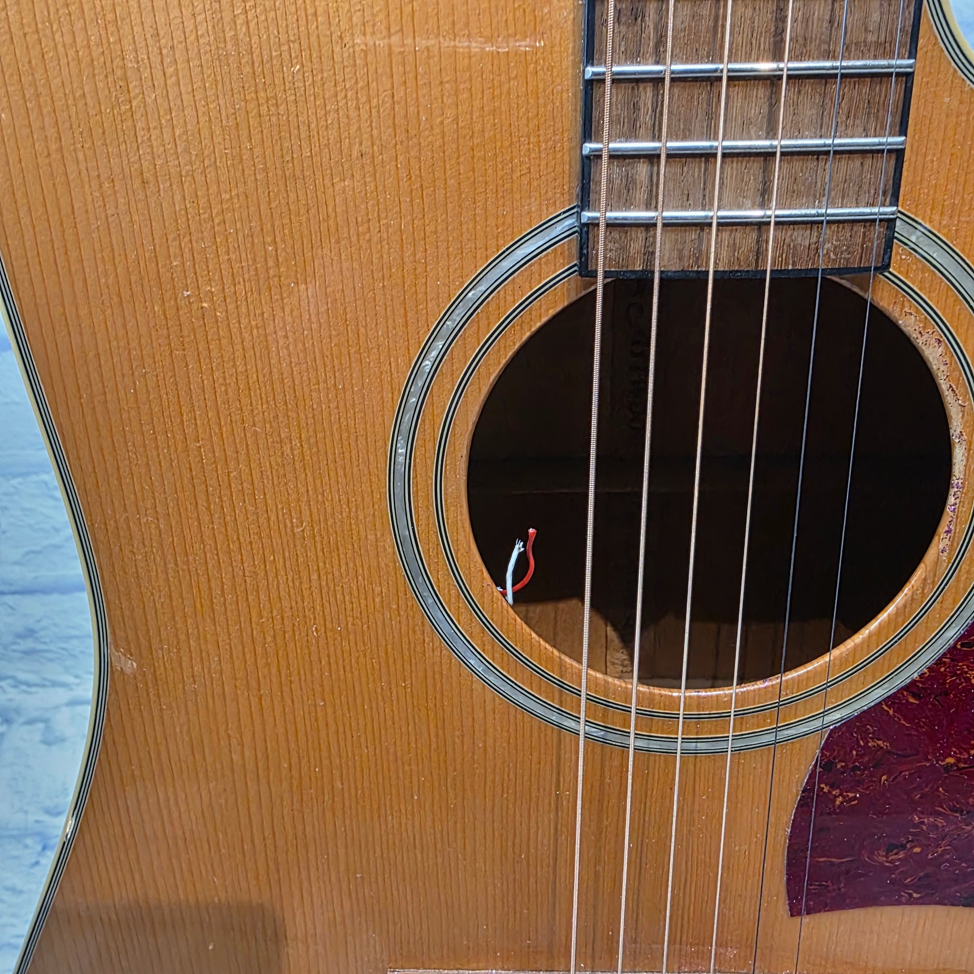 Ibanez Artwood Aw12CE-NT Acoustic Guitar
