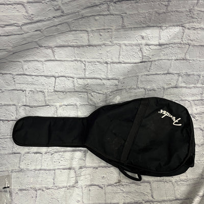 Acoustic Gig Bag