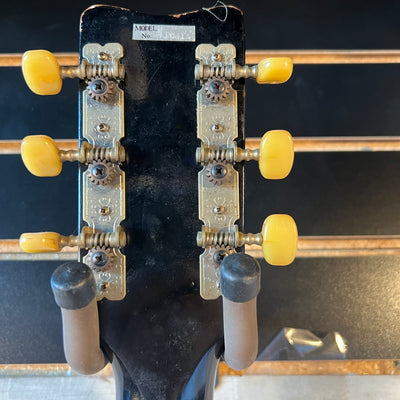 Ensenada 14 Fret Acoustic Guitar Concert Acoustic