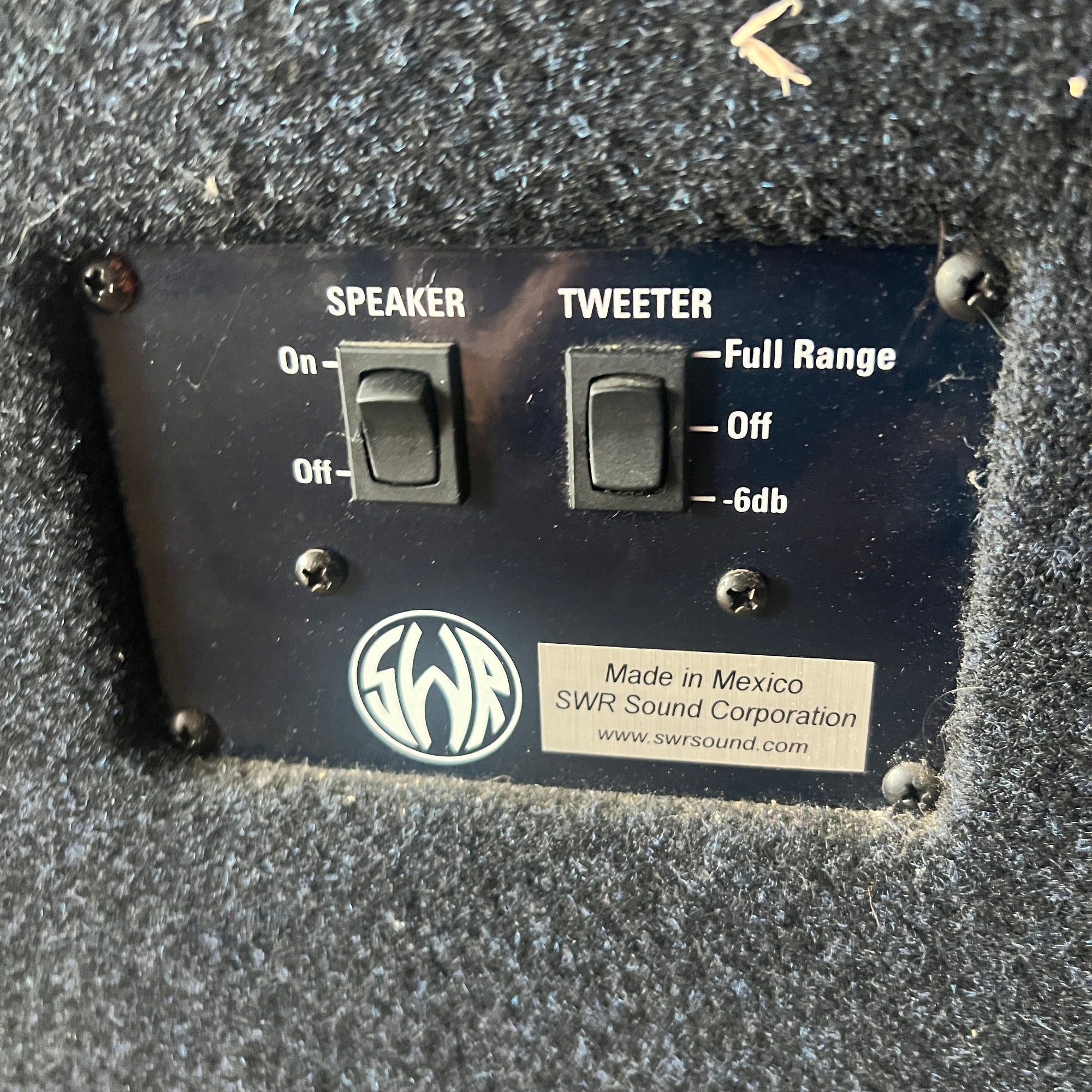 SWR 2x10C Bass Combo Amp
