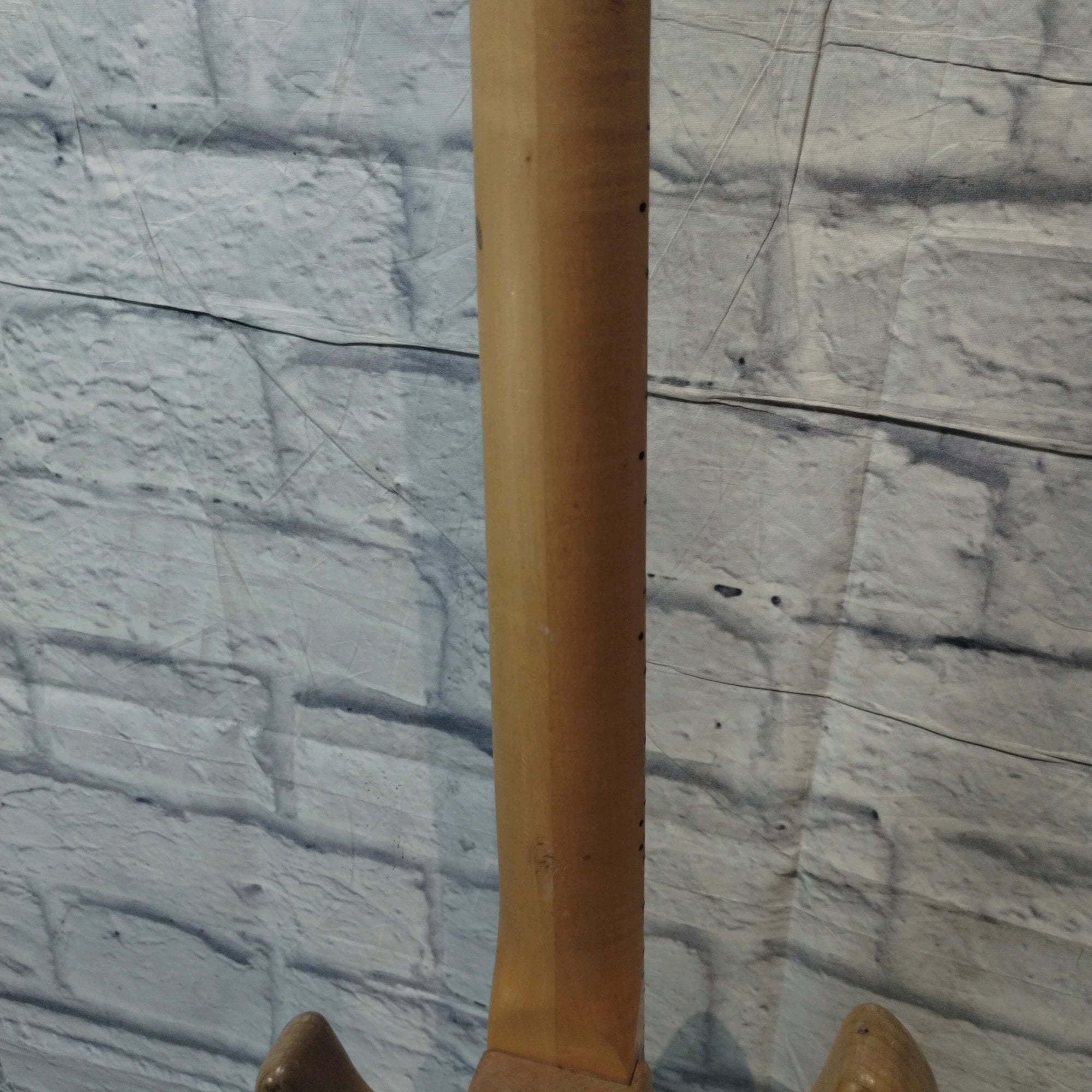 Peavey Fury Bass Husk