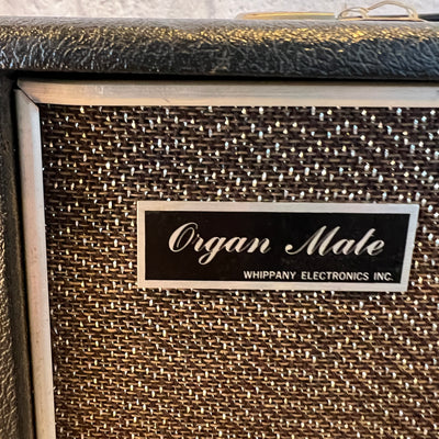 Organ Mate Melo-Sonic 31W Combo Amp