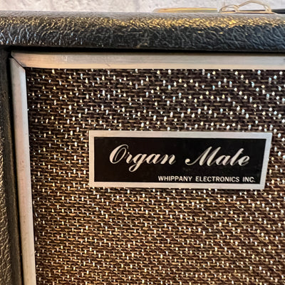 Organ Mate Melo-Sonic 31W Combo Amp